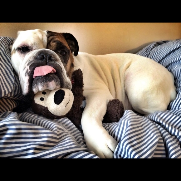 Meet your Posher, Jessi - Picture 12 of 13